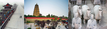 Image: Xian Ancient City Wall, Great Wild Goose Pagoda and Terracotta Army (whole day tour, includes lunch)