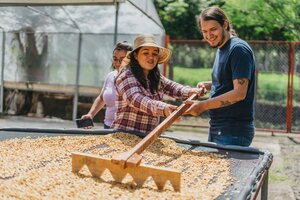 Image: Coffee Tour Classic